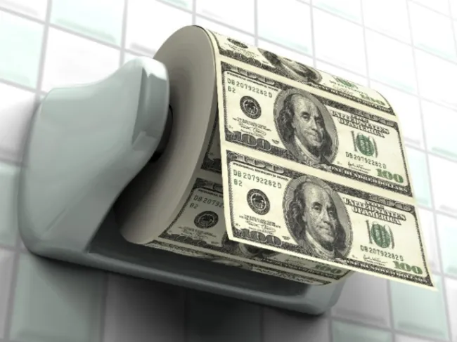 toilet paper money